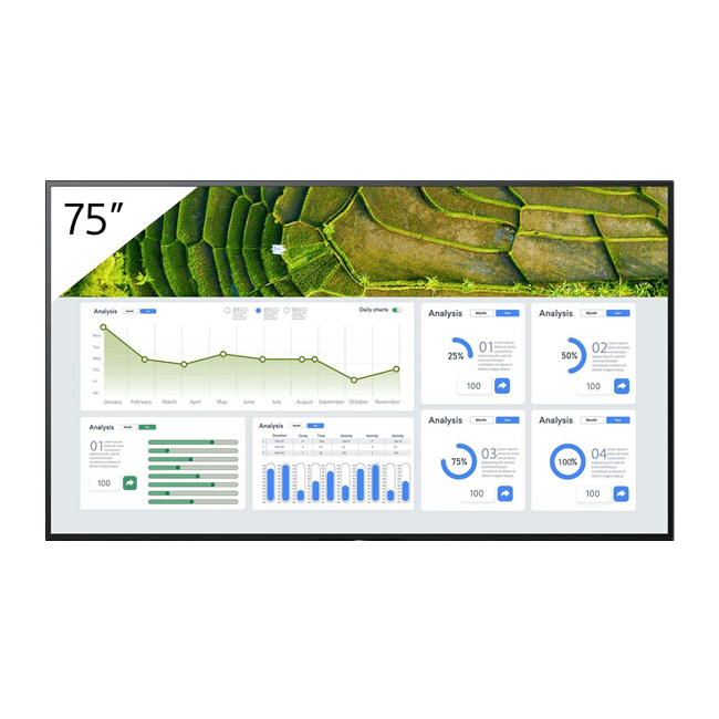 Sony Professional Monitor FW series